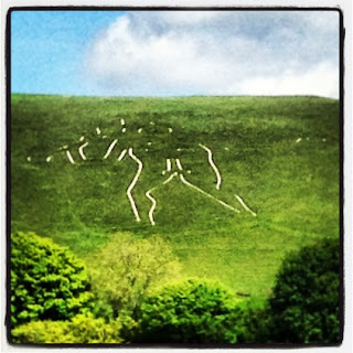 Chalk in the side of a hill in Dorset