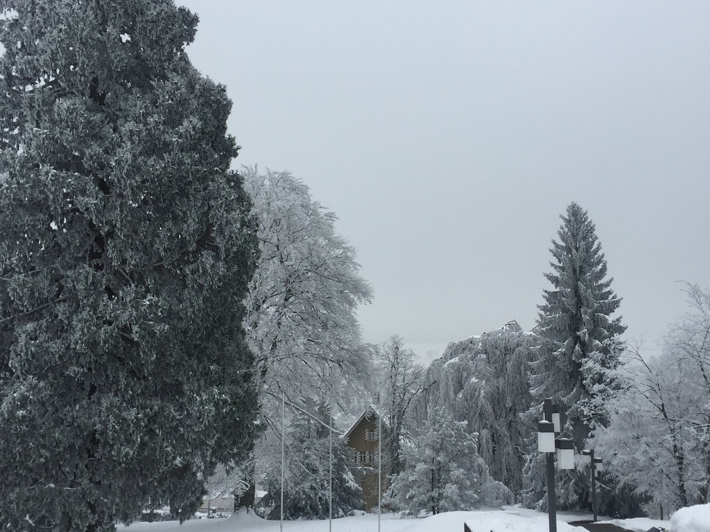 St Gallen in the snow
