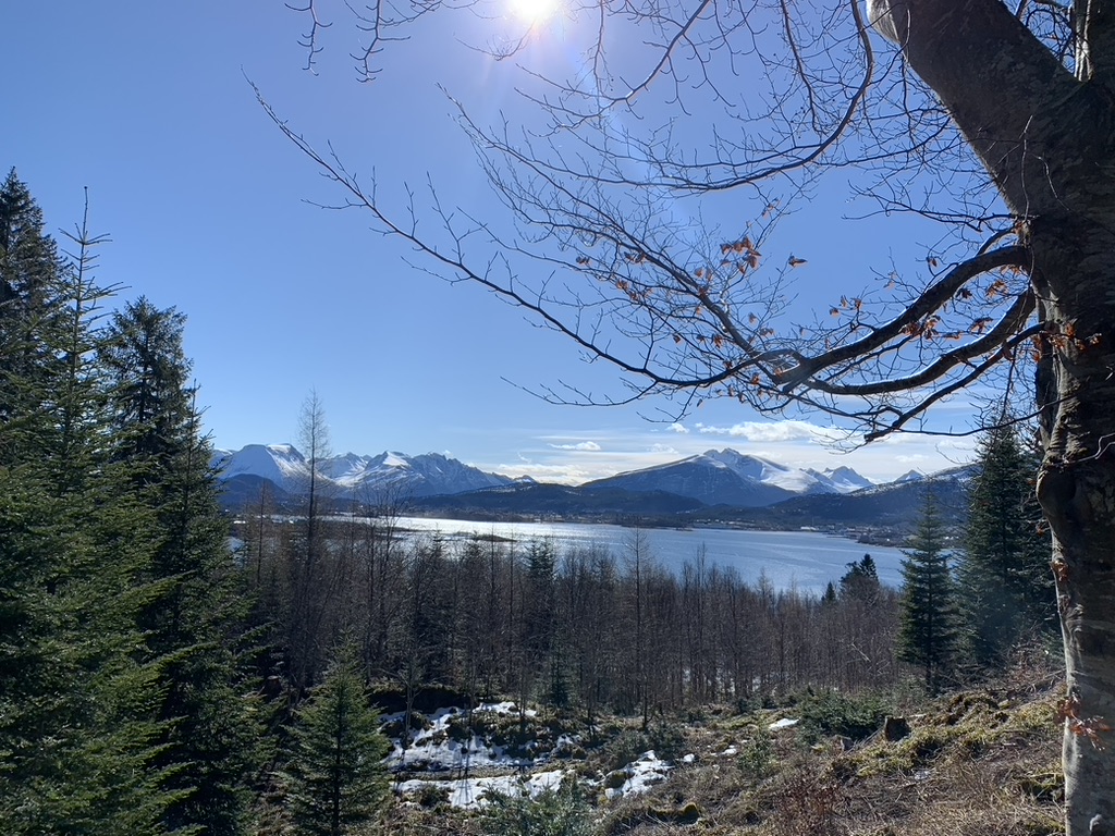 What to do in Norway on a Cruise