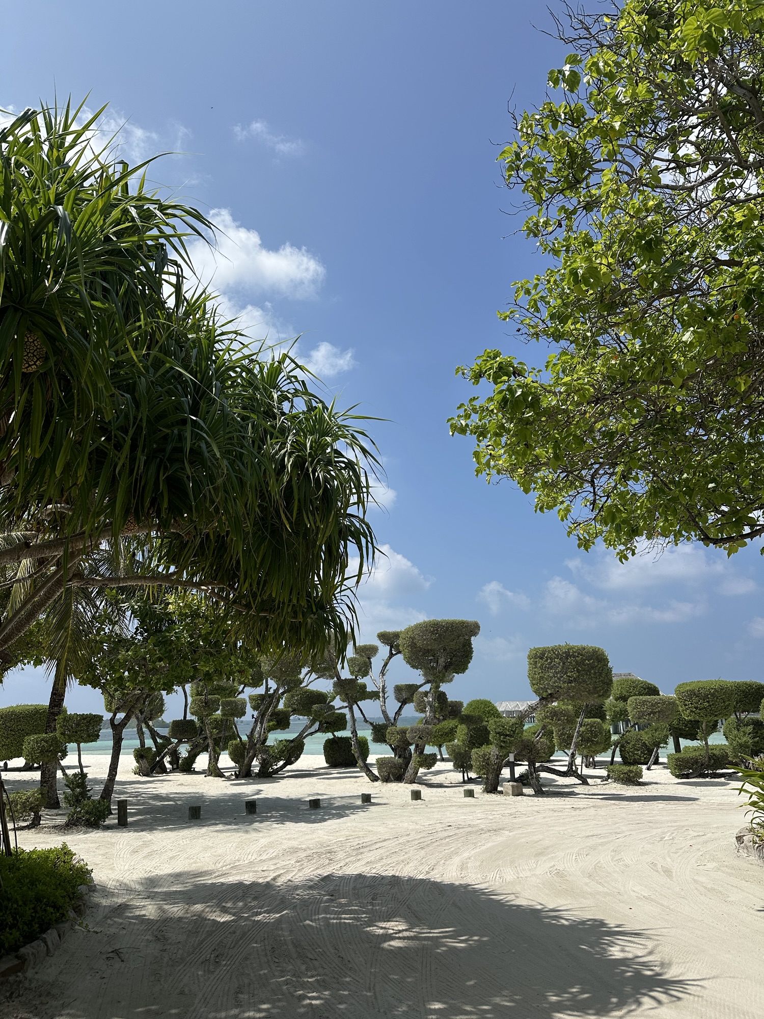 Why the Maldives is the ultimate location for a relaxing week